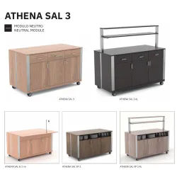 MODULE NEUTRE AVEC PORTE ATHENA SAL N3