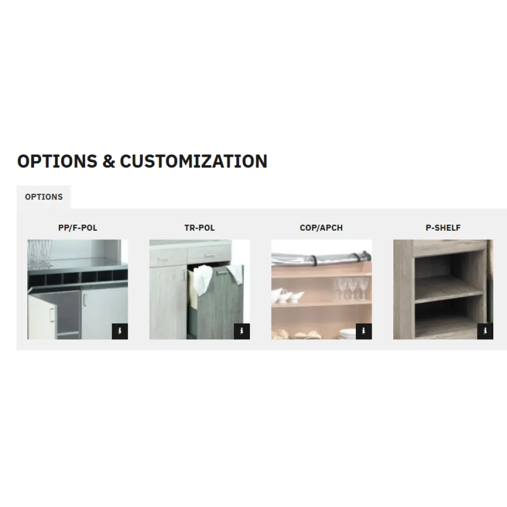 POSTE DE SERVICE EN ACIER INOXYDABLE SUR ROULETTES POLAR2B (015INPOL2B)