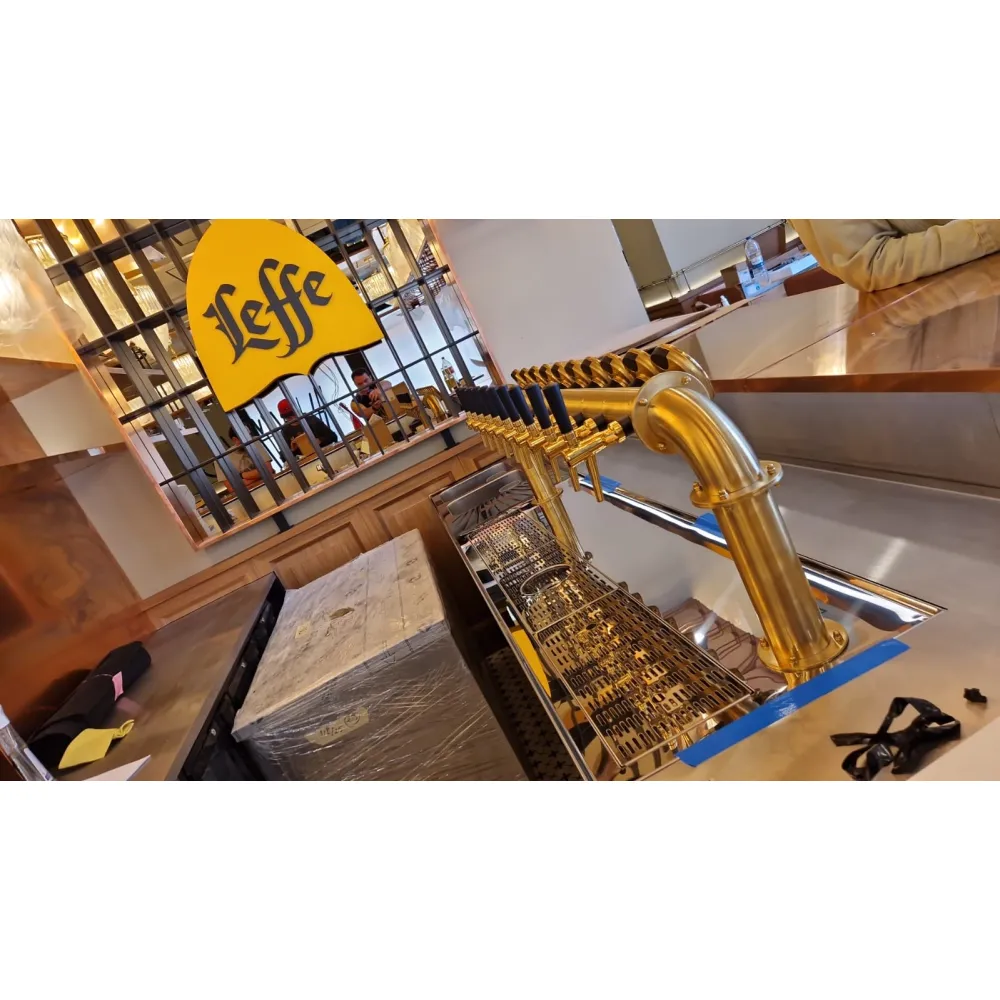 Plan de travail de bar avec double évier et zone d’égouttage (BHS-ZJ21-000)