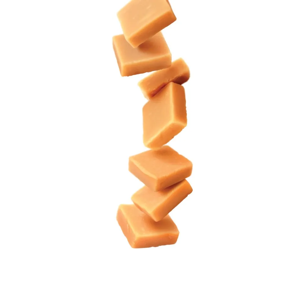 Butterscotch syrup 1L (275202160055)