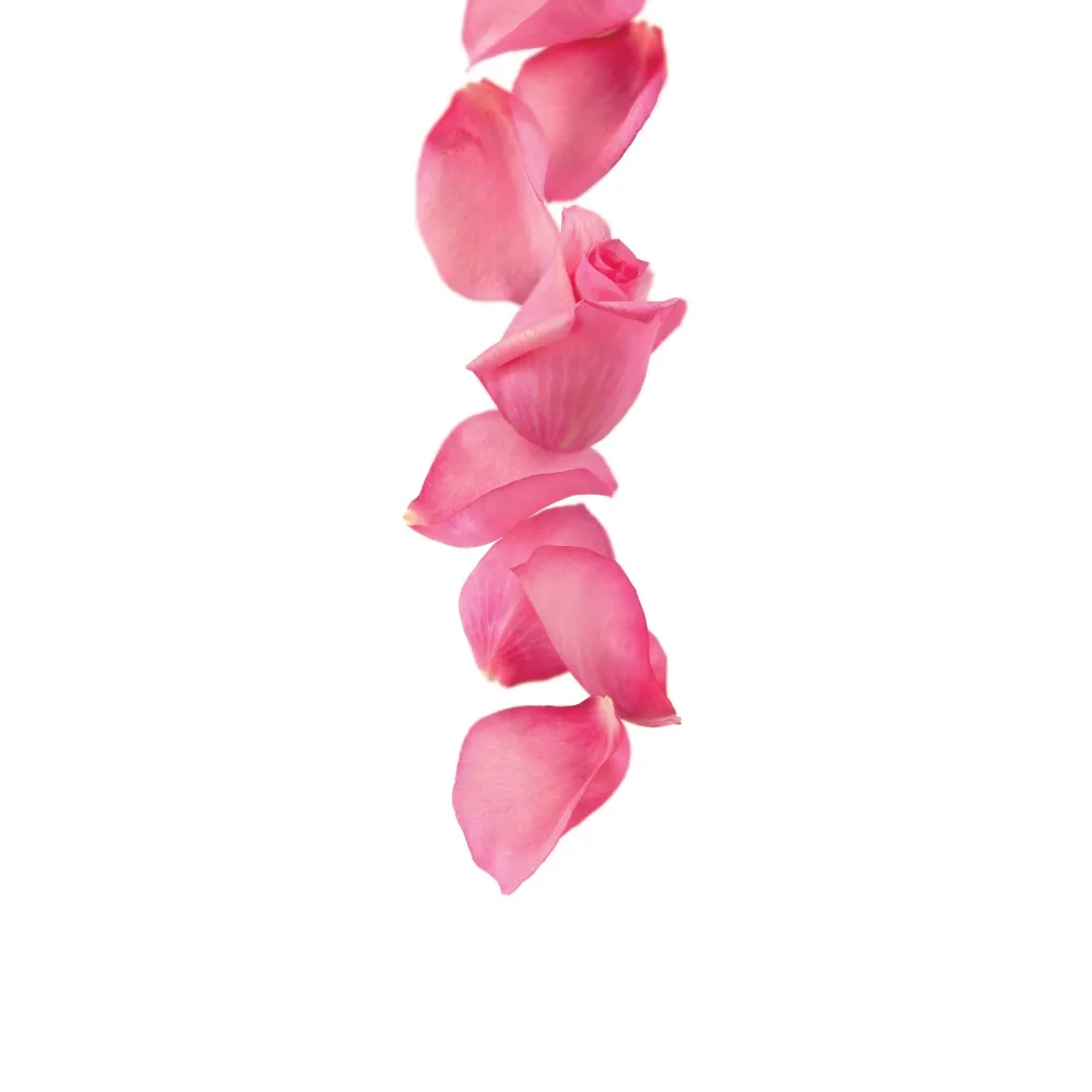 Rose syrup 1L (275202160012)