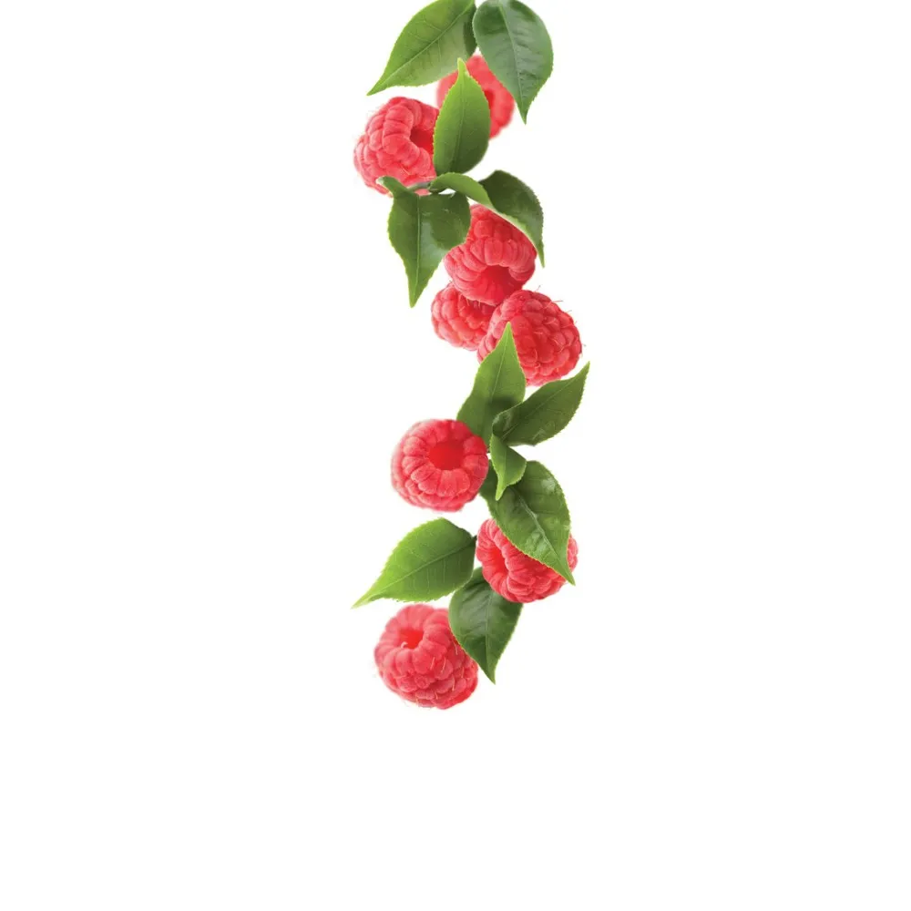 Iced tea raspberry syrup 1L (275202160027)