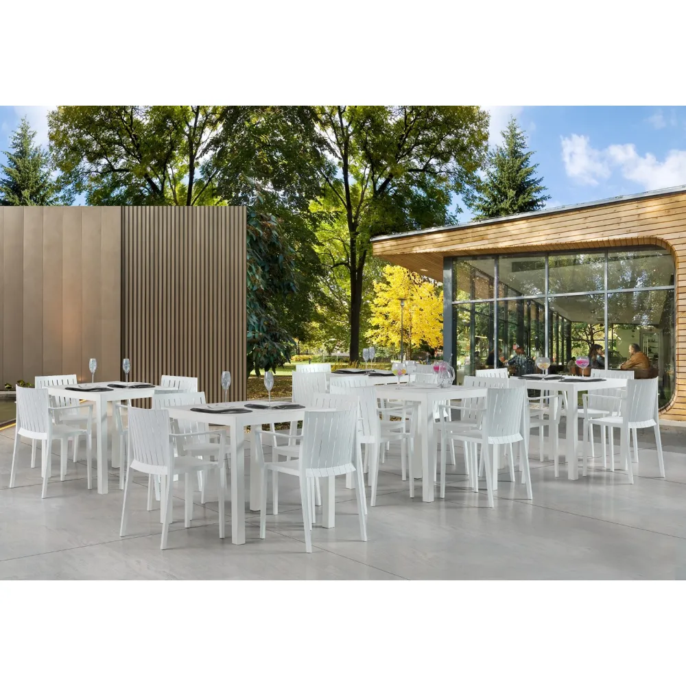 Chaise Elite (3G-Elitearmchair)