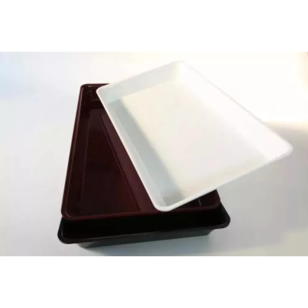 Bac Plexi GN 1/1 profondeur 50 mm en polyméthacrylate de méthyle Blanc (A00009556)