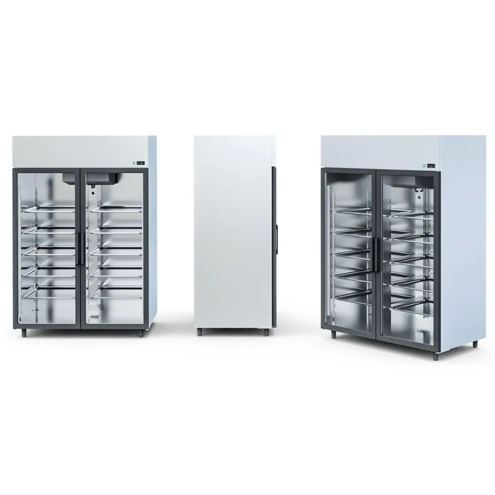 Réfrigérateur OLA2 AG-GASTRO (OL100.2/AG/GASTRO)