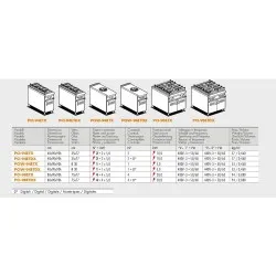 Plaque de cuisson à induction PCI-98ETX