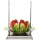 Watermelon cutter (L05-50541)