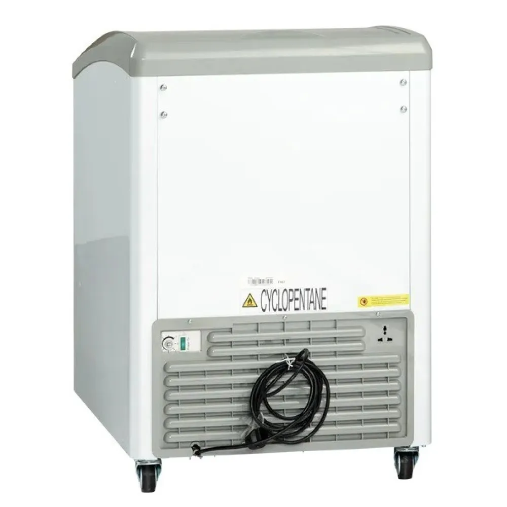 Vitrine à glace IC155D (23424310000IC155D)