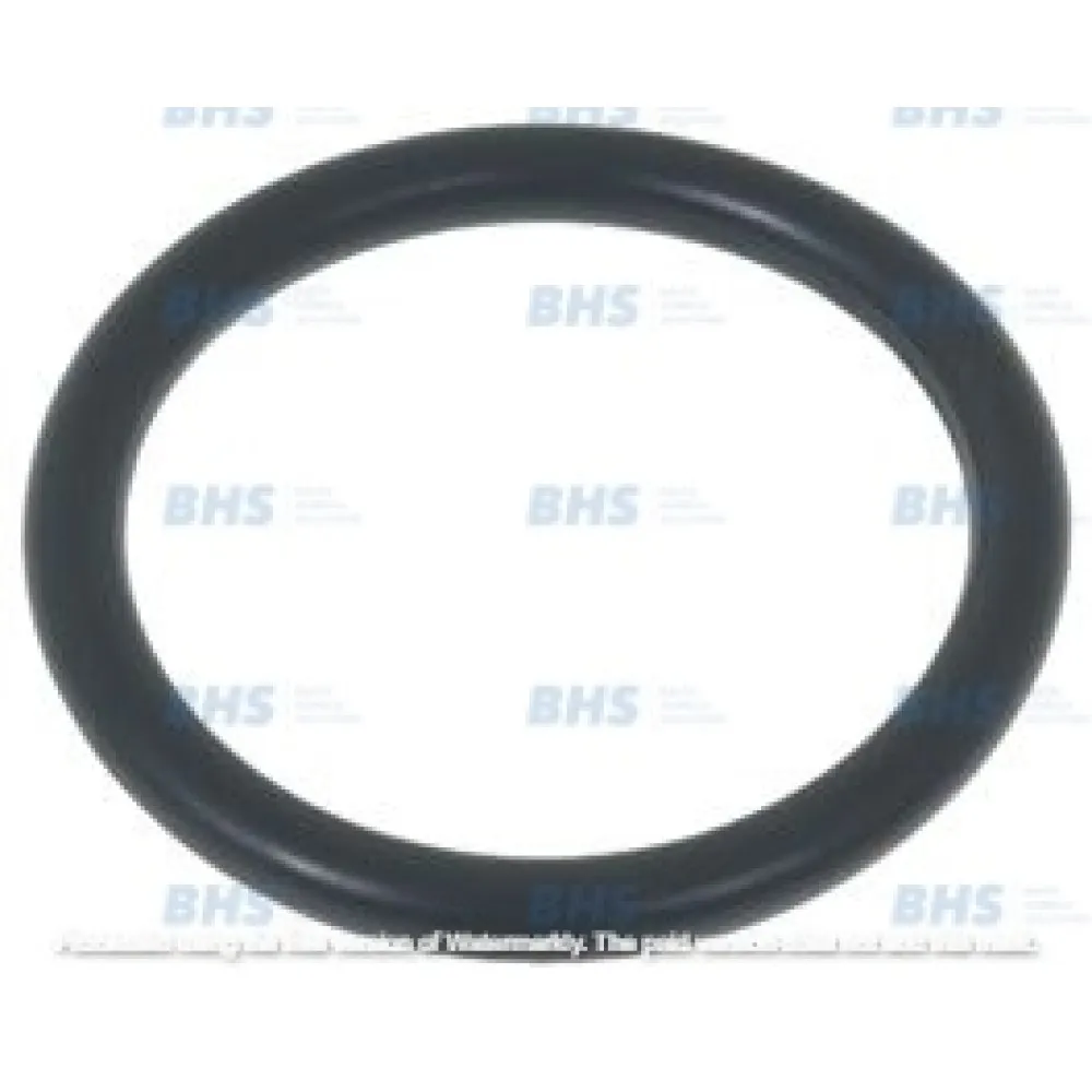O-RING 04200 EPDM (L1186480)