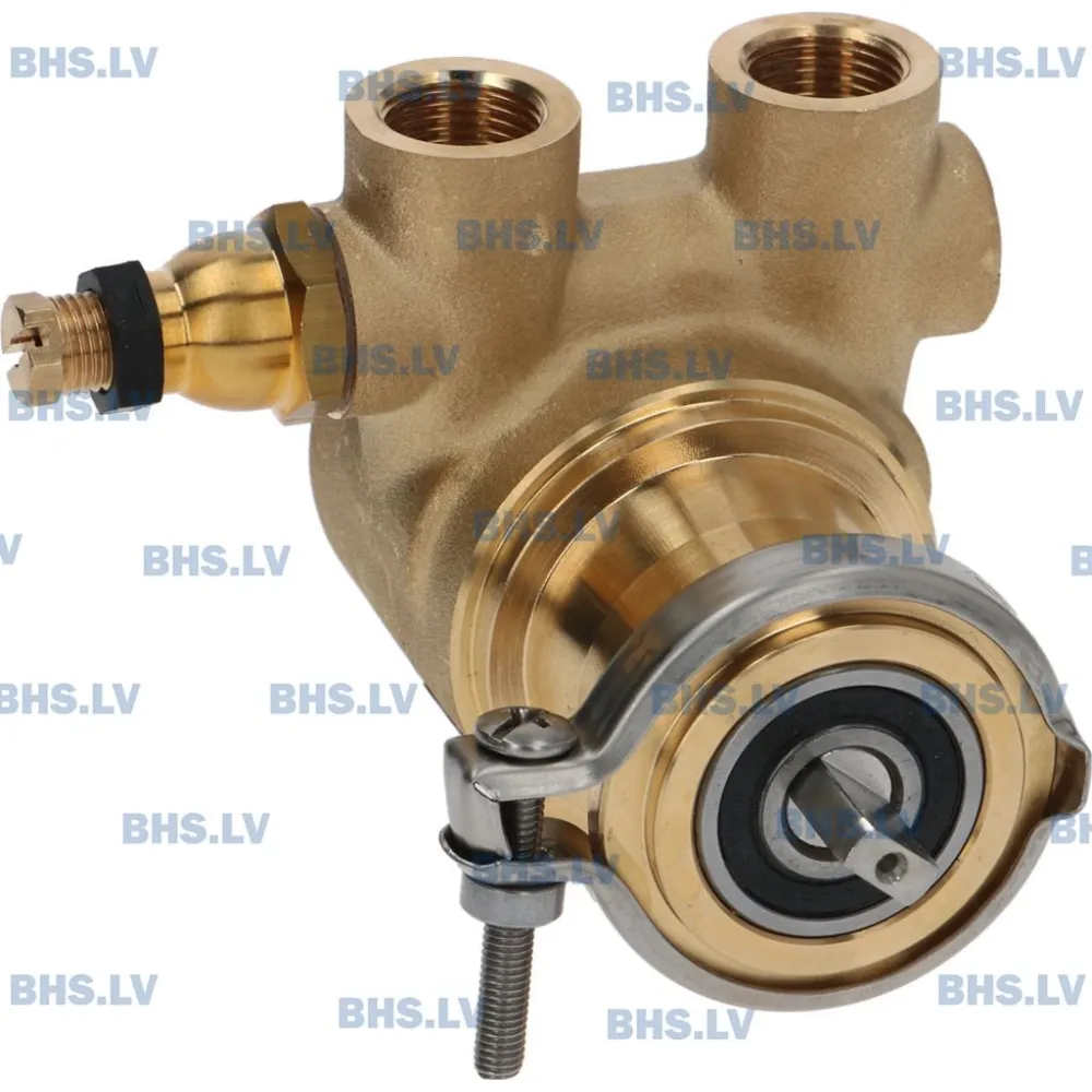 ROTARY VANE PUMP ROTOFLOW ø 3/8" GAS (L1330035)