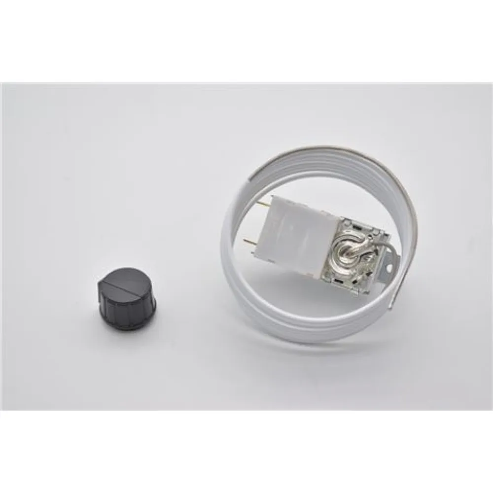 BIN THERMOSTAT (L5177588 31758)