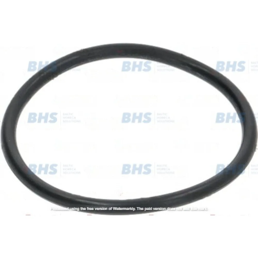 O-RING 04200 EPDM (L3186601)