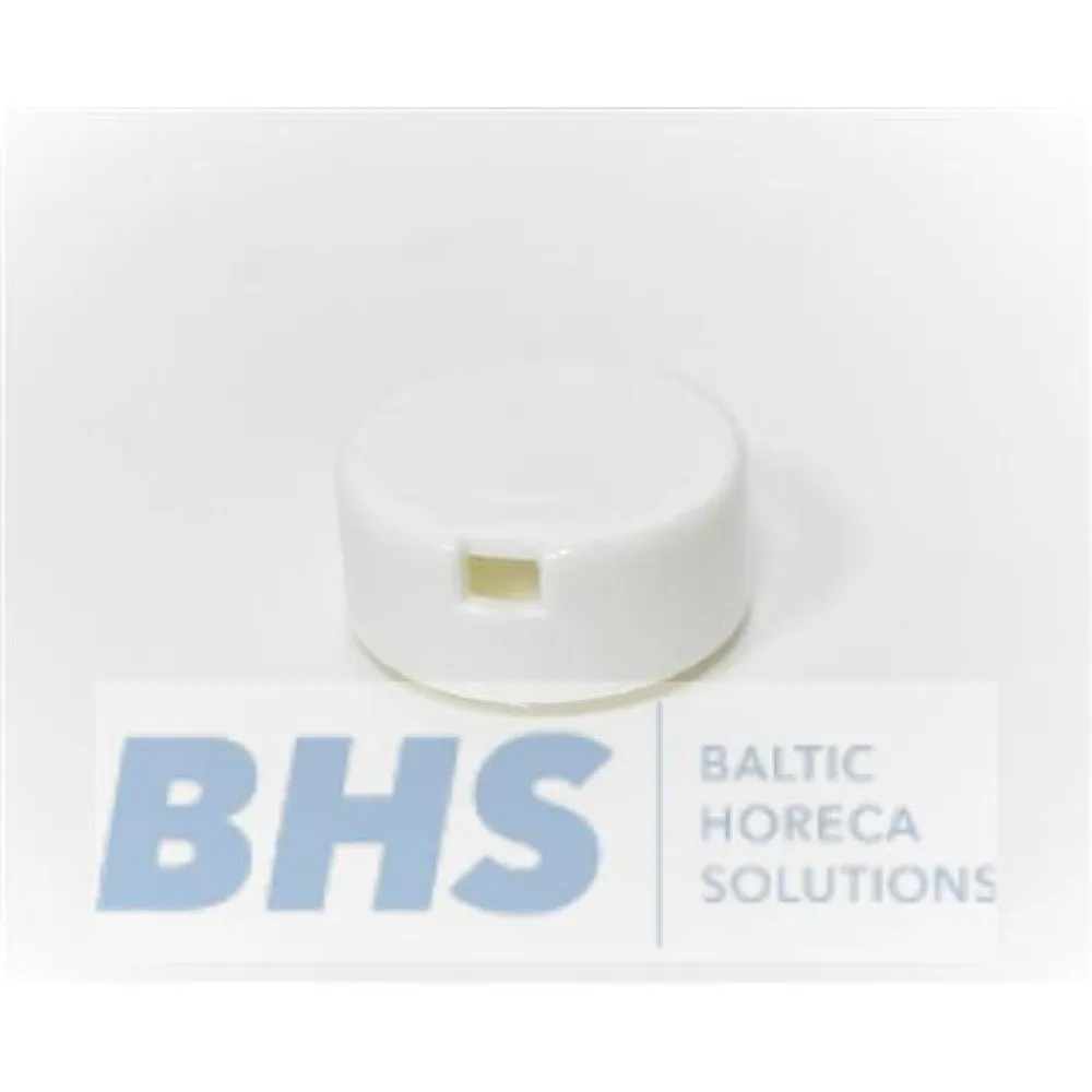 OVERFLOW PIPE CAP (L5091193 4427)