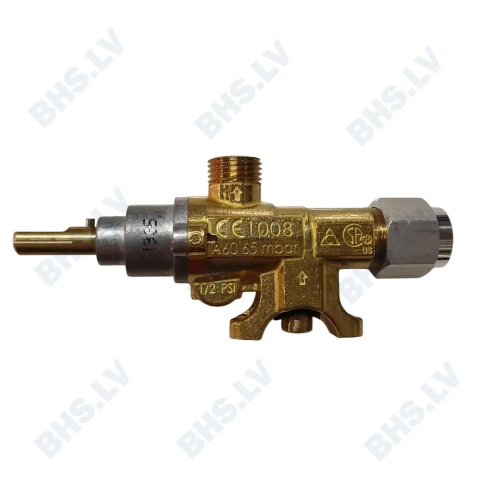 Gas burner C008801