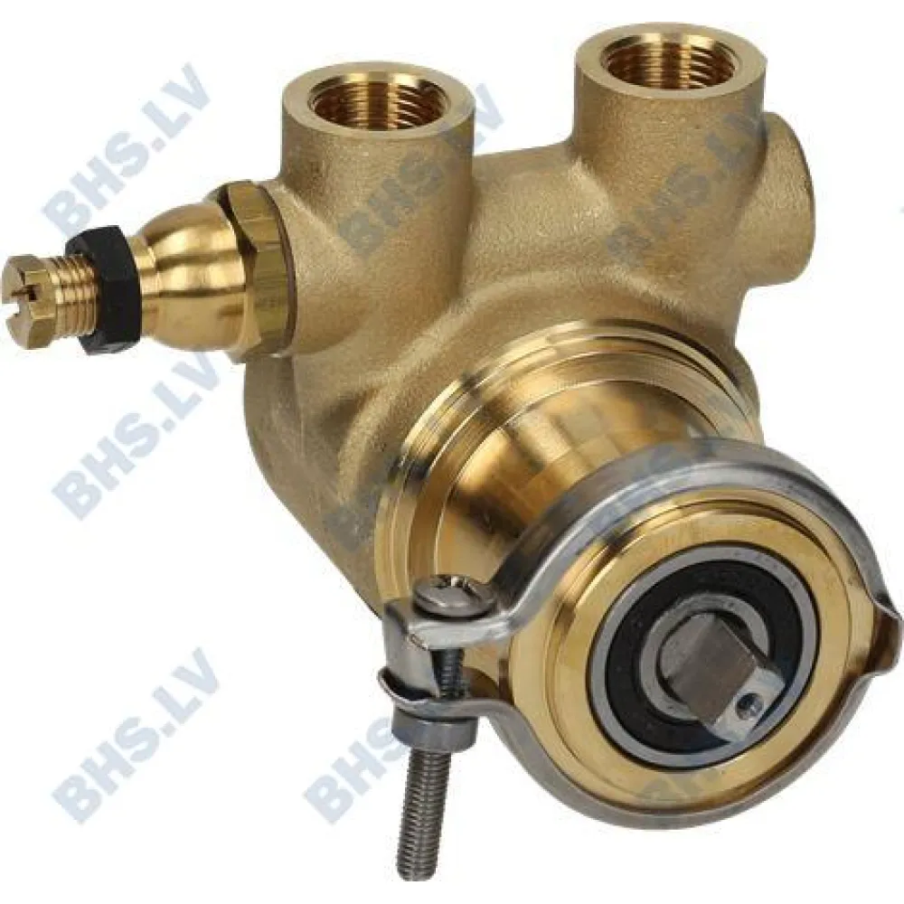 ROTARY VANE PUMP ROTOFLOW ø 3/8" GAS (L1330026)