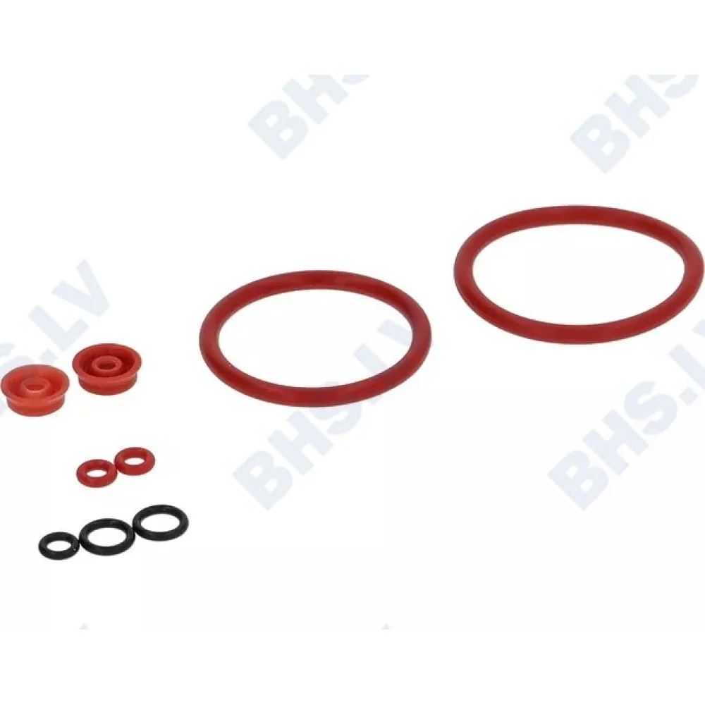 COFFEE GROUP REPAIR KIT (L1901111)