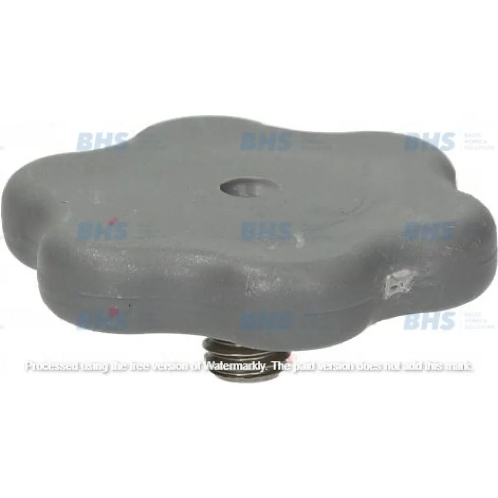 RINSE ARM ASSEMBLY LOCKING BOLT (L3243833)