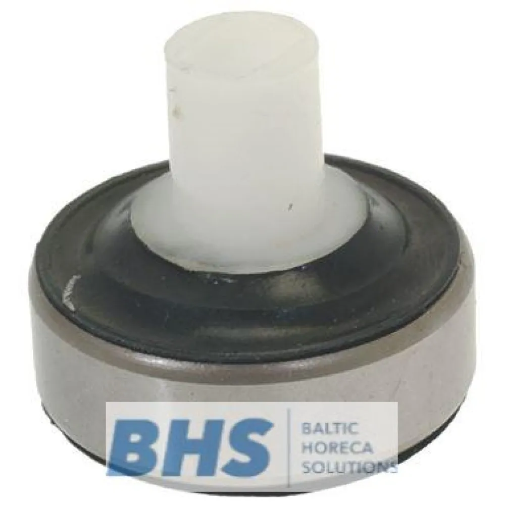 BEARING WITH WATER SEAL (L5020468)