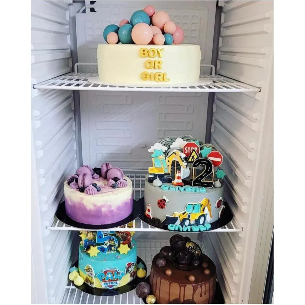 Armoire réfrigérée 265 l (880400)