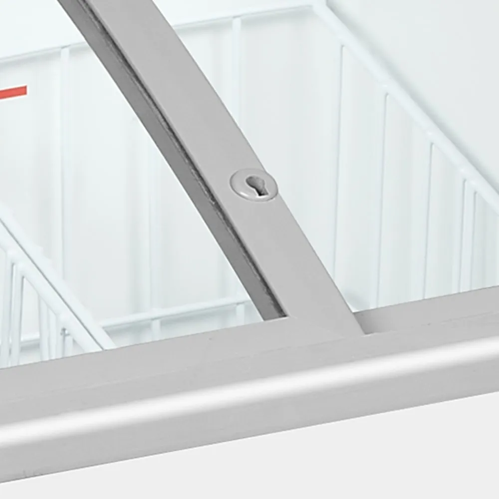 Congélateur de crème glacée 85 l (IC101SCSCEB-LED)