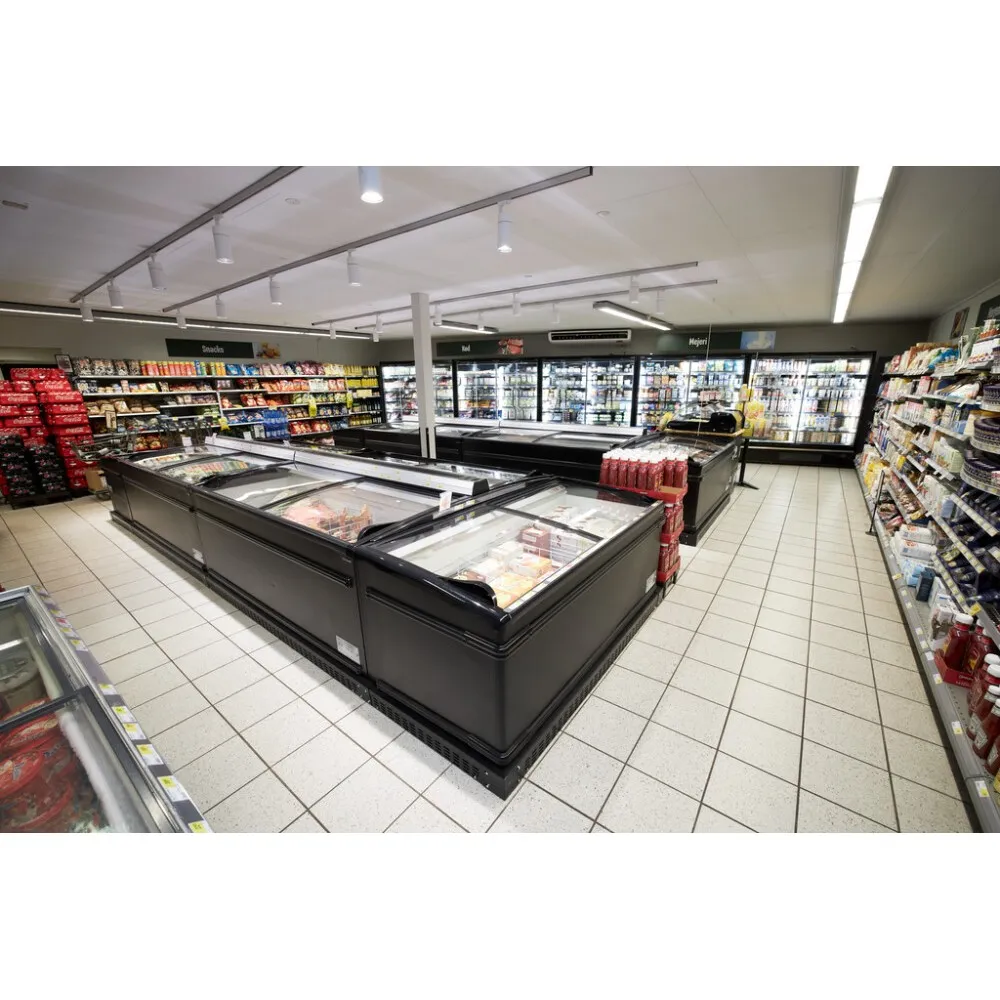 Supermarket Cooler-Freezer 500L (SFI185B HC-CF VS)