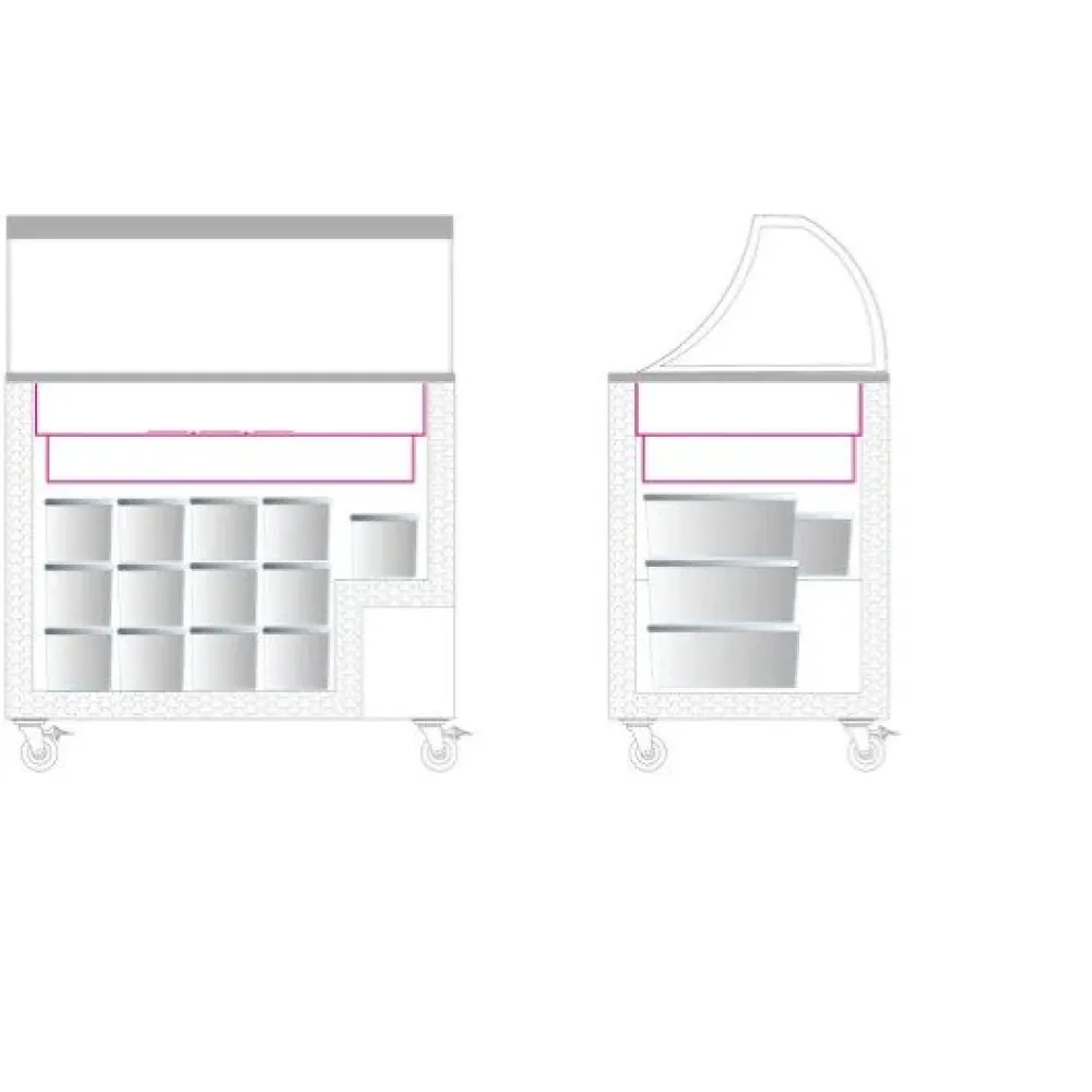 Ice cream freezer 255L (IC301SC+SO)