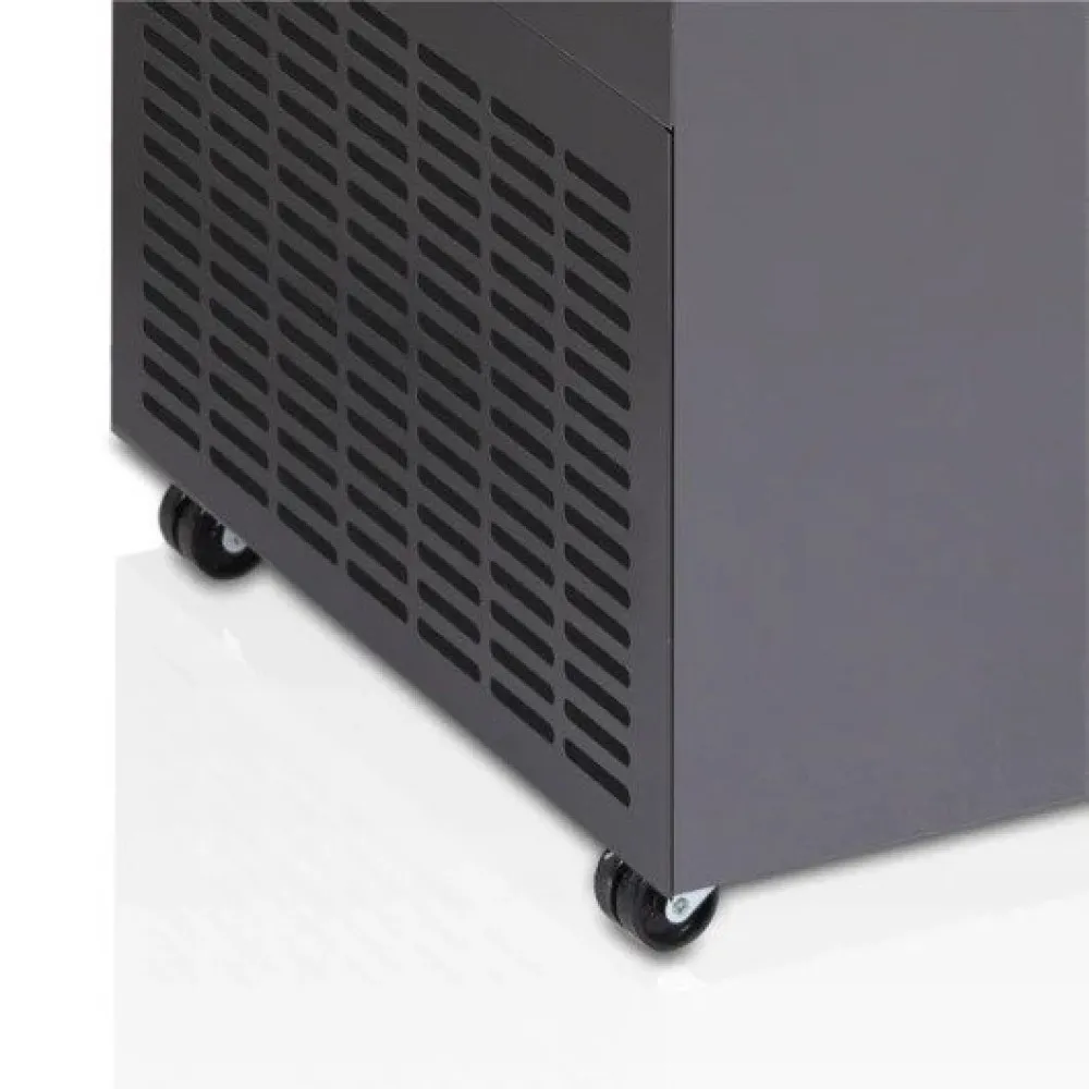 Ice cream freezer 306 l (MIRABELLA-9)