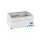 Supermarket Freezer 1255L (TWIN-220-F)