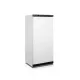 Storage freezer UF550
