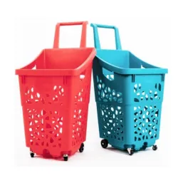 Paniers et chariots d’achat pour magasins