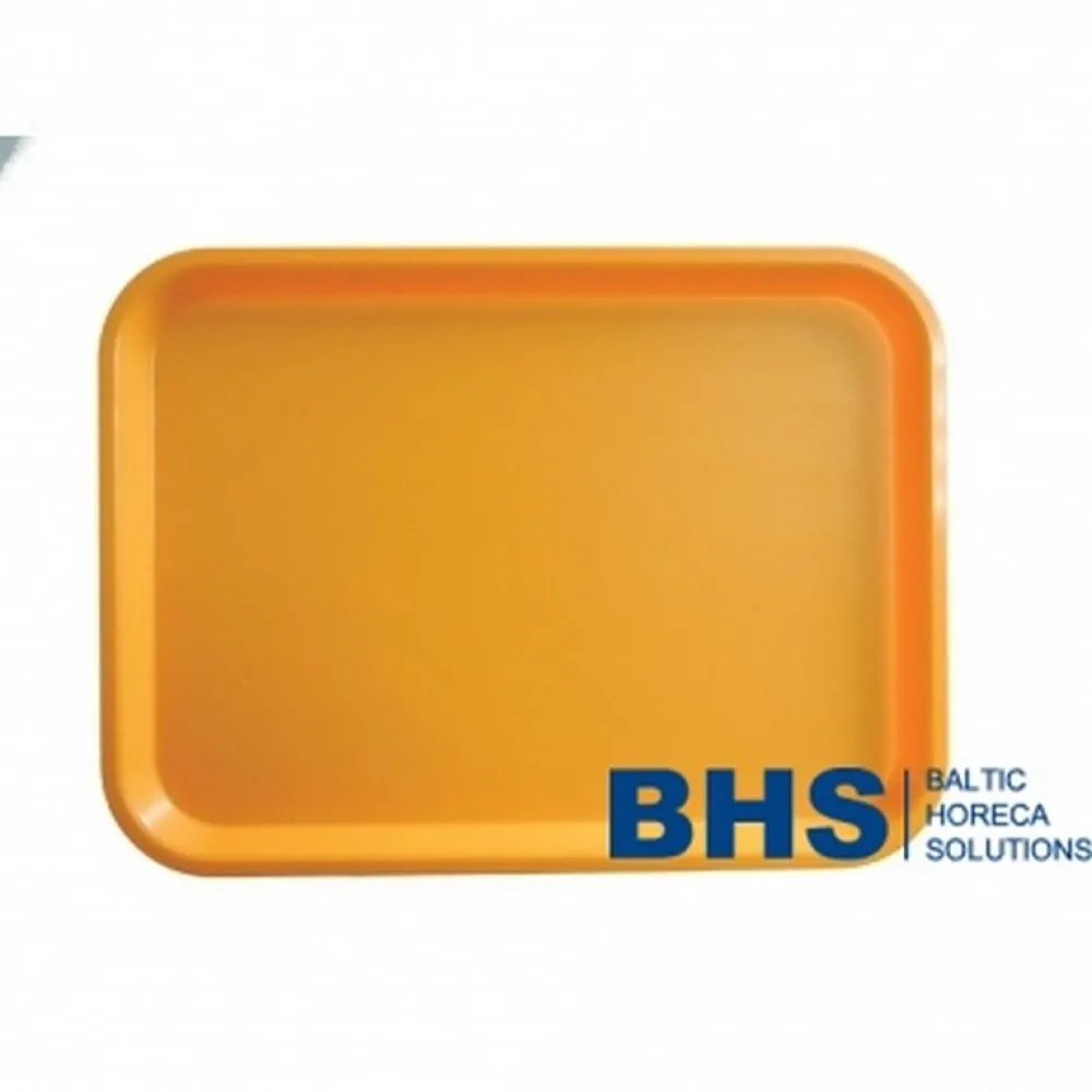 Plateau 415x305 mm (413032)