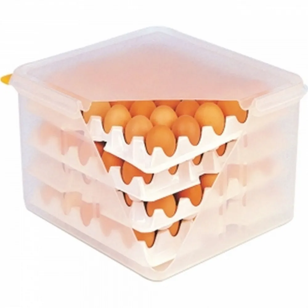Egg crates (061500)