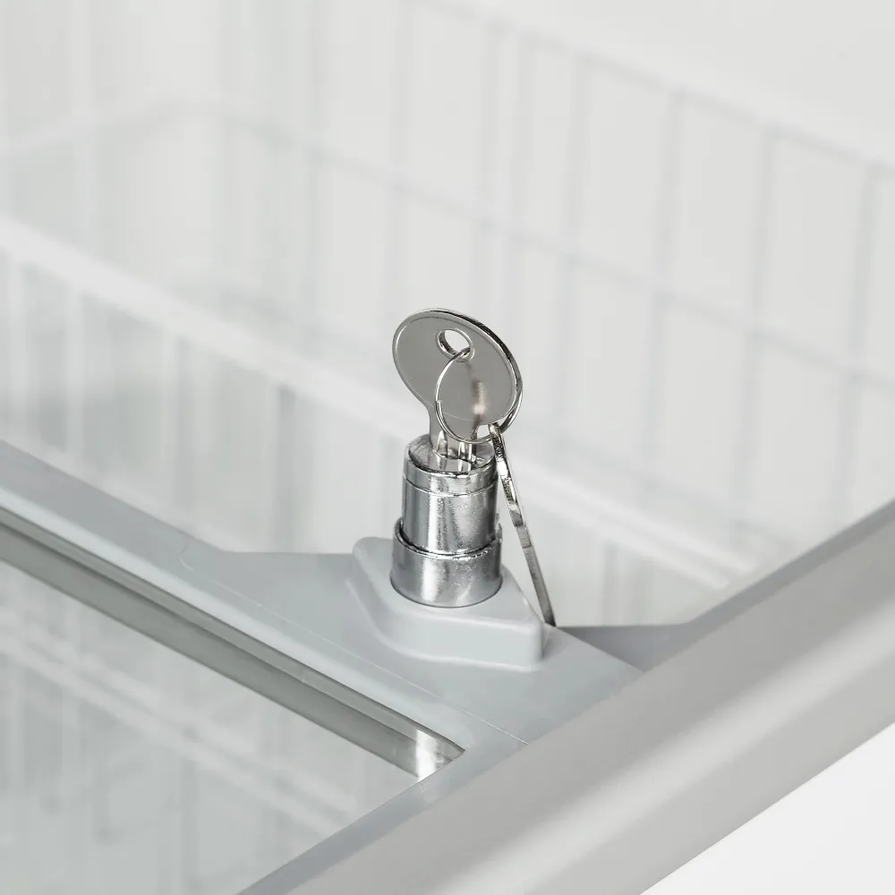 Congélateur pour glaces 155 L (IC202SC-SO)