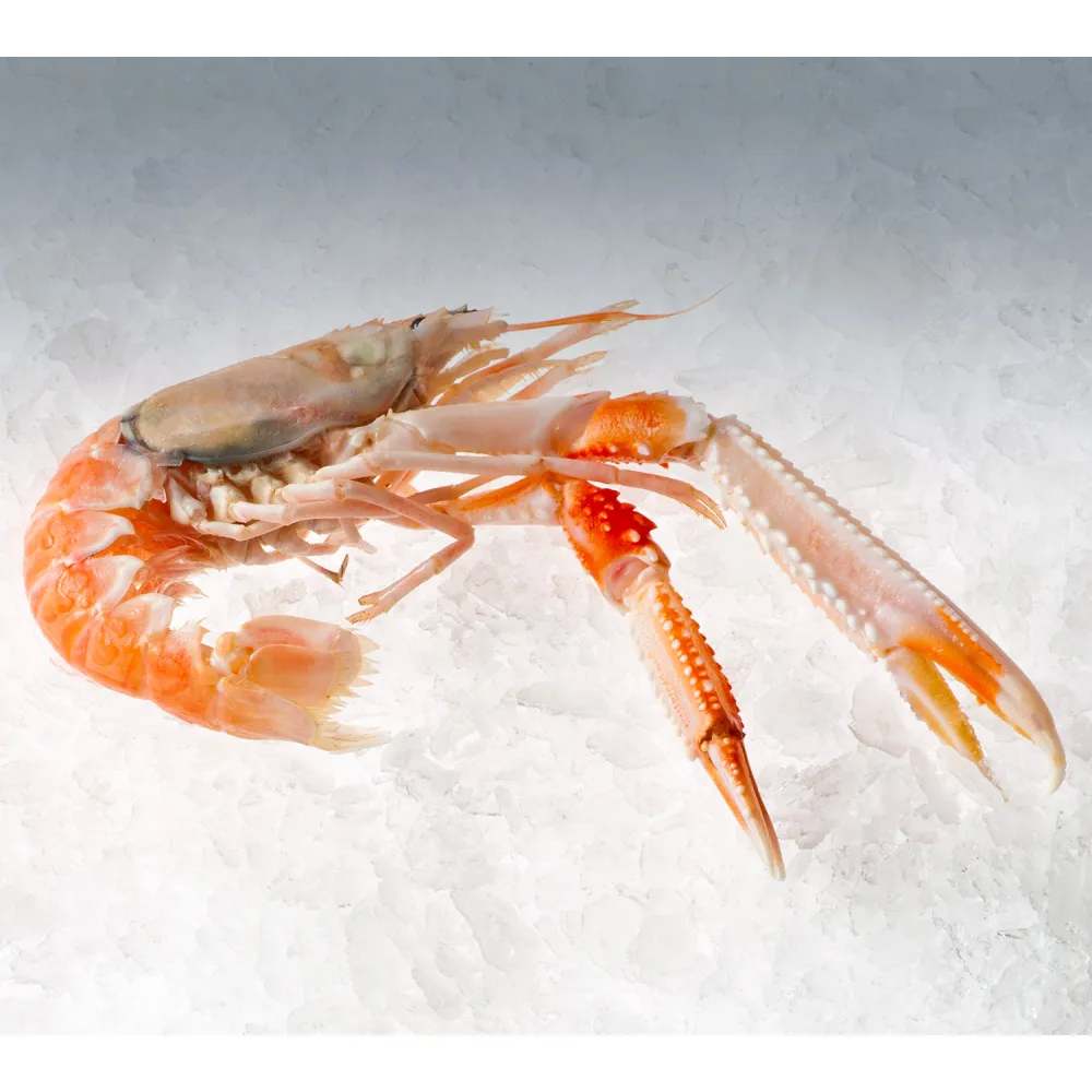 Générateur de glace KFE600, 600kg/24h (KFE600-A)