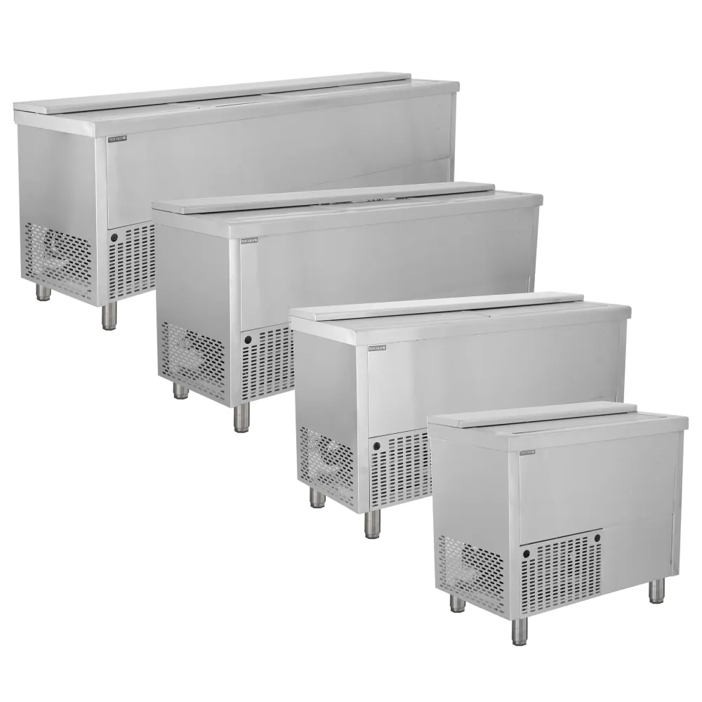 Rafraîchisseur de bouteilles BHC250X1