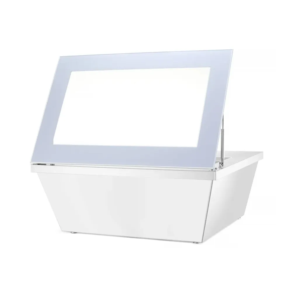 Vitrines congélateur à température réglable (233689)