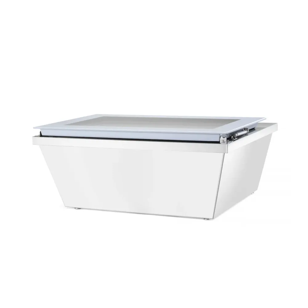 Vitrines congélateur à température réglable (233689)