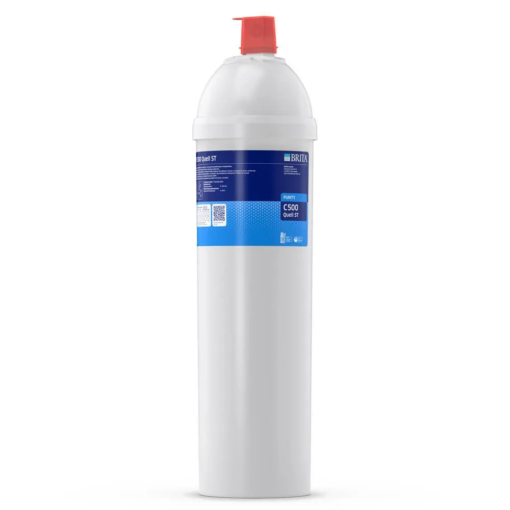 Filtre Purity C500 (822825)