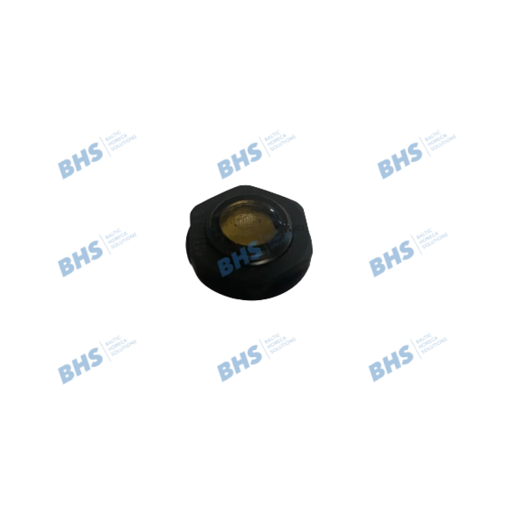 Dishwasher door lock magnet