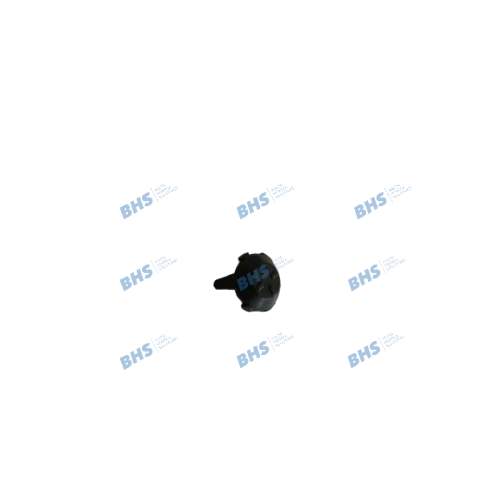 DELIVERY VALVE FOR WATER CONTAINER SAECO GAGGIA (L5081517)