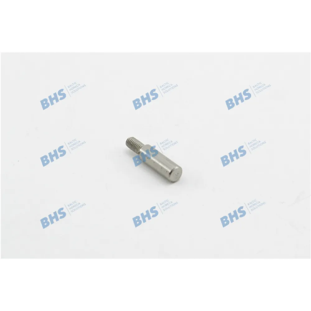 DOWN HINGE AXIS (12824)