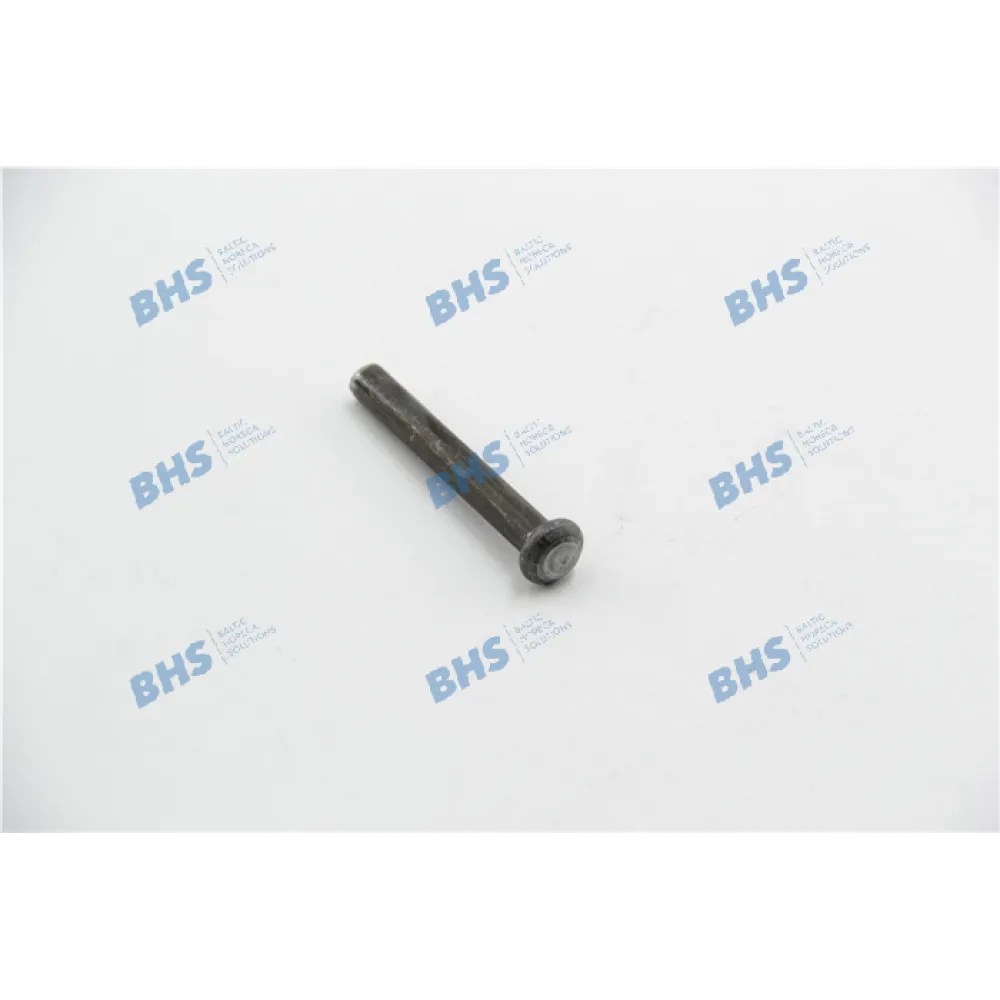 PIN FOR BIG ROLLER (TC1011800087)