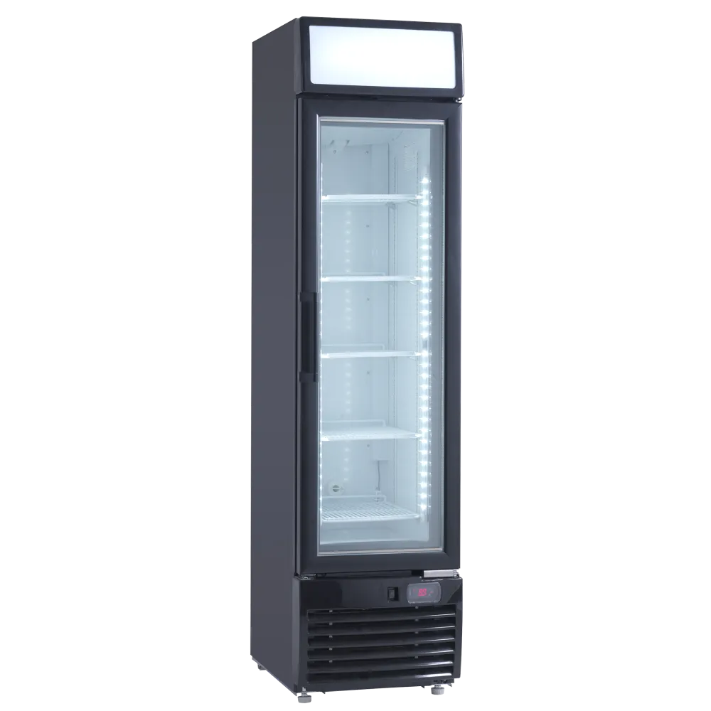 Vitrine congélateur 142 L DF217BC (59324010000DF217BC)