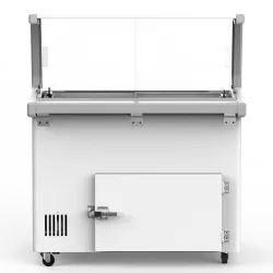 Vitrine congélateur SIC4WB