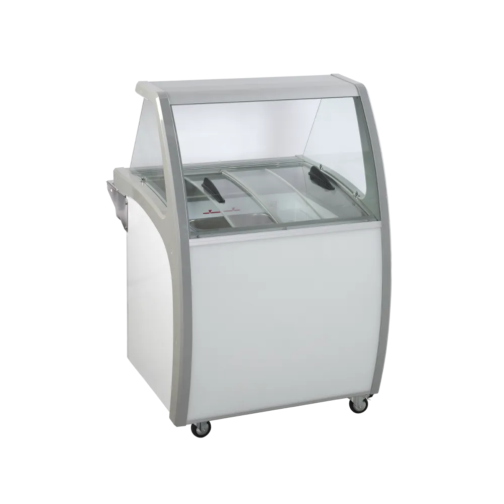 Vitrine à glace 170L SIC4WB (23424510000SIC4WB)