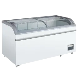 Vitrine congélateur 355L XS602E