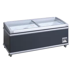 Vitrine de magasin 430L SIF600ADGC