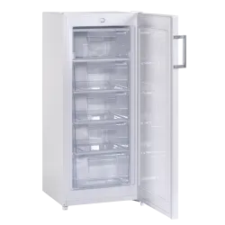 Congélateur 145L FRF145WE