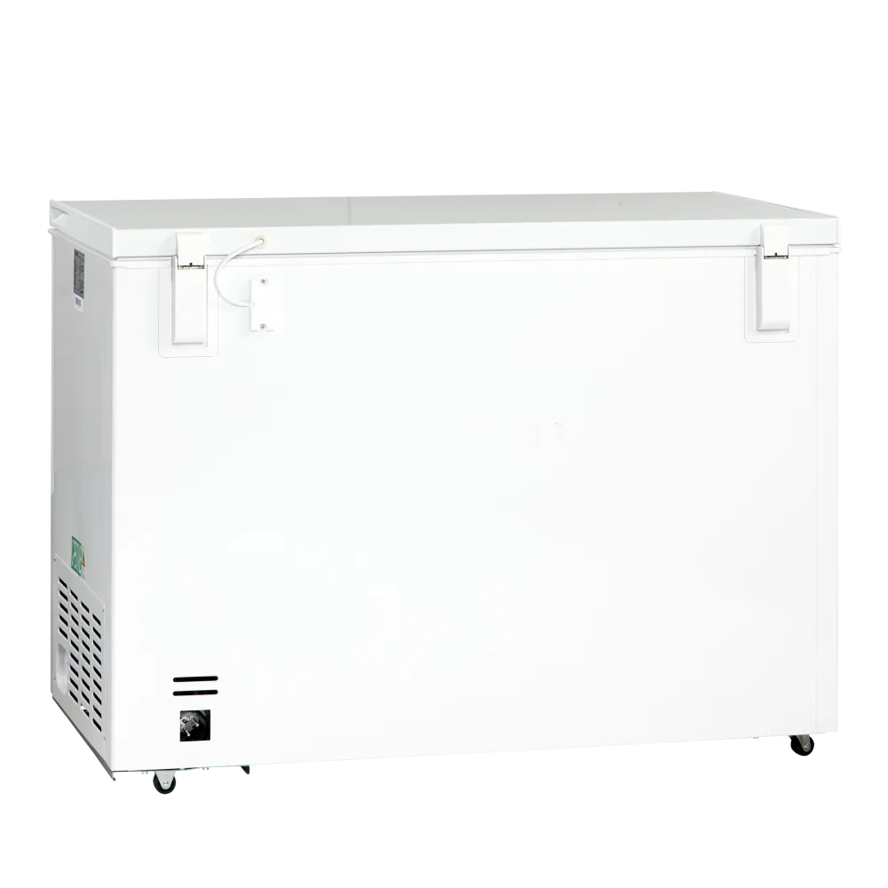 Congélateur coffre 400L CF400WE (01124210000CF400WE)