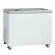 Vitrine à glace 223L IC310D (23424310000IC310D)